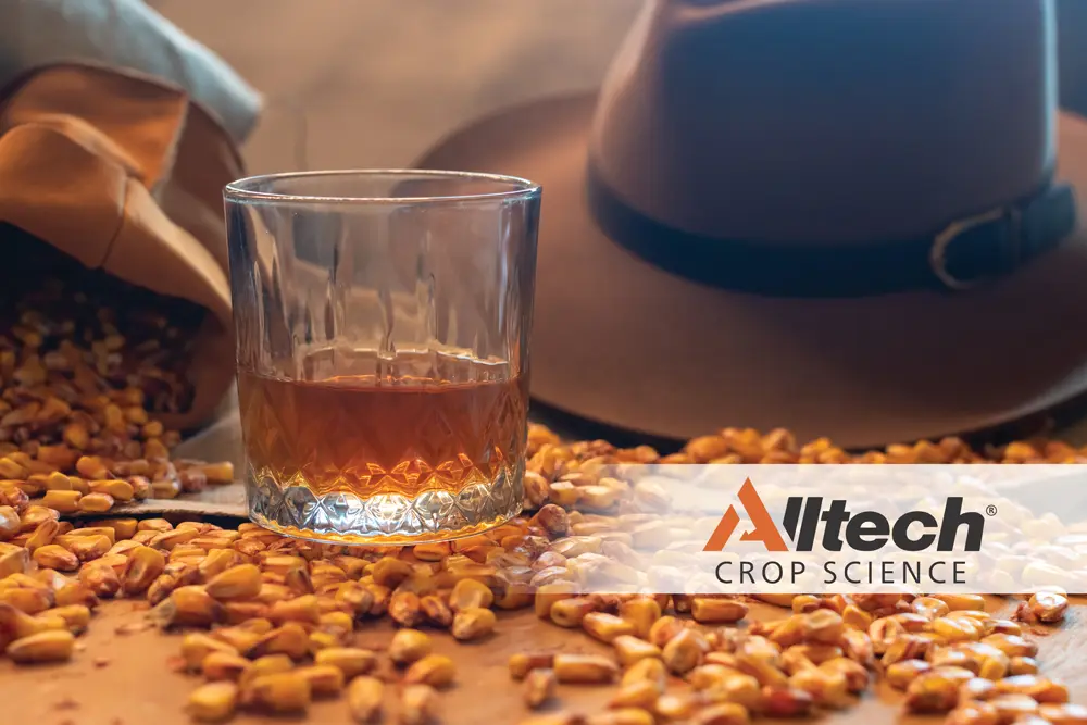 bourbon alltech logo